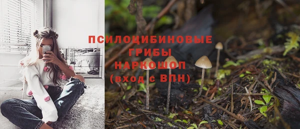 спайс Балабаново