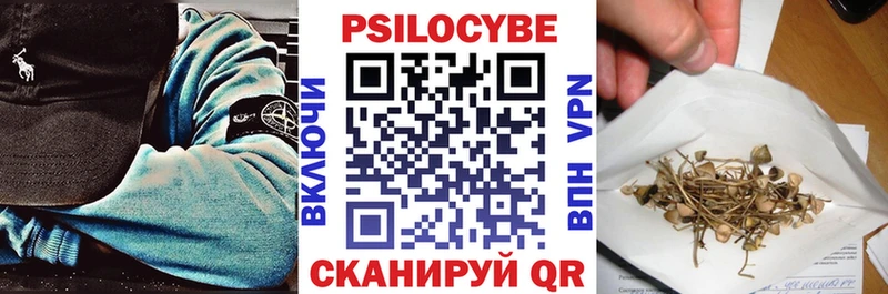 закладки  Ржев  Галлюциногенные грибы Psilocybine cubensis 